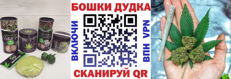 Canna-Cookies марихуана  blacksprut ССЫЛКА  Железногорск-Илимский 