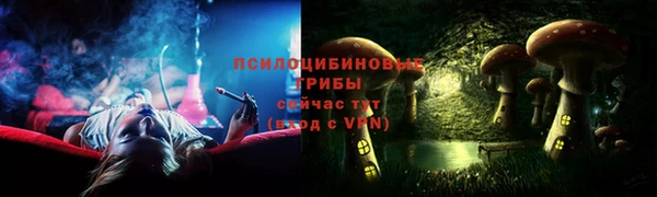 сатива Абаза
