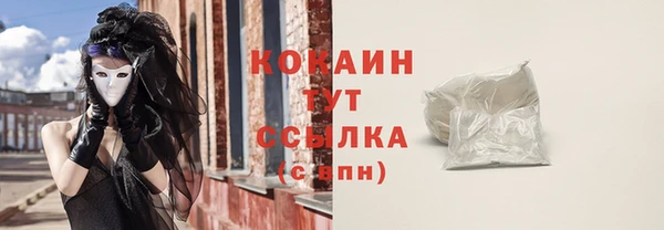 сатива Абаза