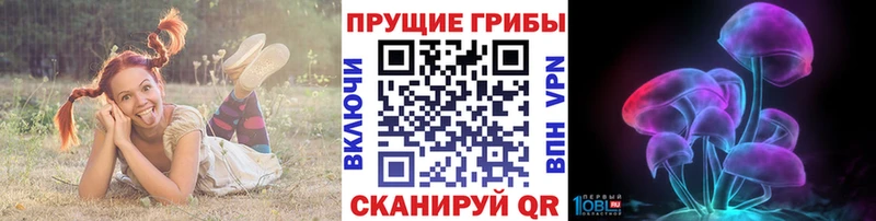 Псилоцибиновые грибы Magic Shrooms  blacksprut маркетплейс  Железногорск-Илимский 